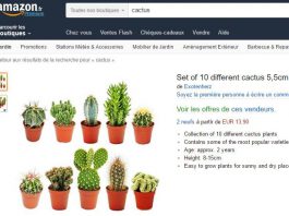 quarantaine australienne