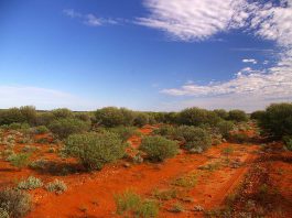 Outback pour un site de déchets nuclèaires