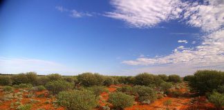 Outback pour un site de déchets nuclèaires