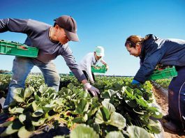 Fermiers en colère contre les taxes