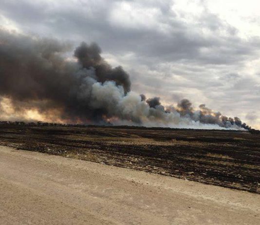 Mort de trois backpackers dans un incendie