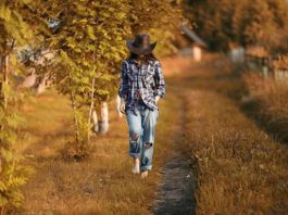 Harcélement backpackers Australie