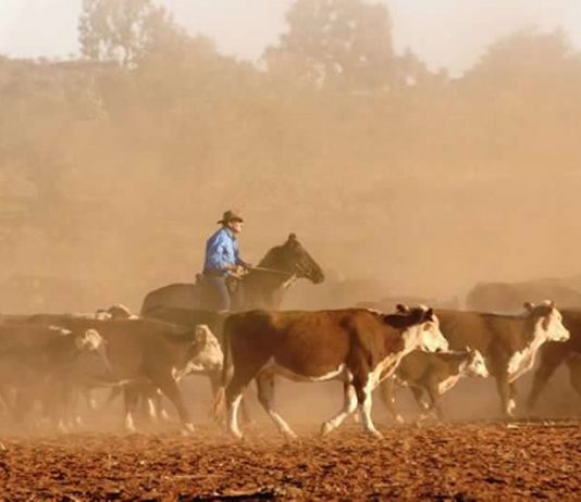 Plus grand terrain à vendre d 'Australie