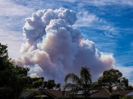Incendies en Australie