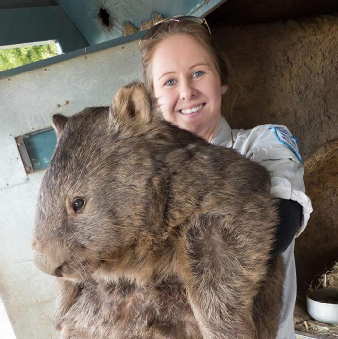 Patrick le Wombat