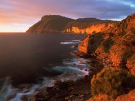 Parcs Nationaux Tasmanie