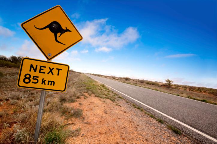 panneau kangourou australie