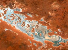 Vue par satellite du Lake Amadeus dans le Northern Territory