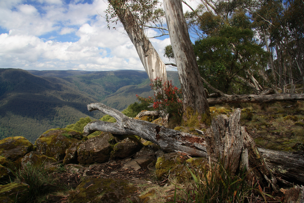 Thunderbolts Lookout at Barrington National park