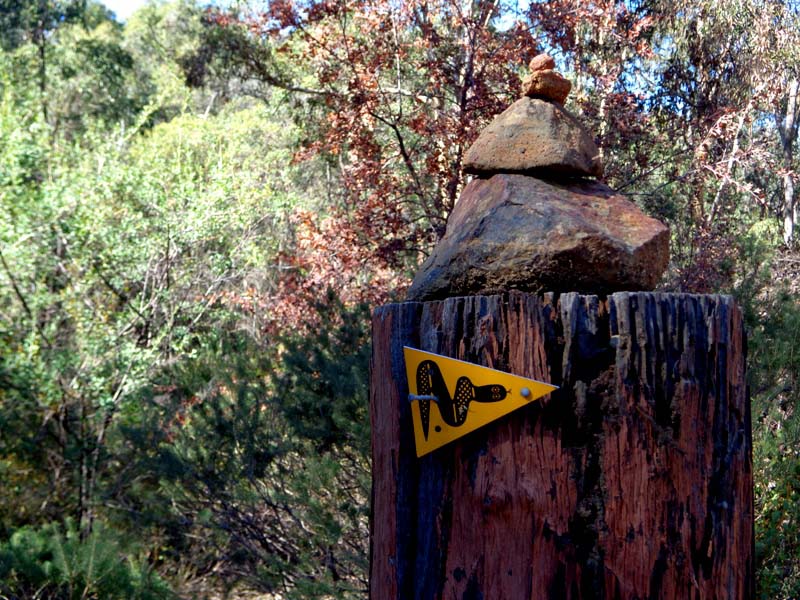 bibbulmun track