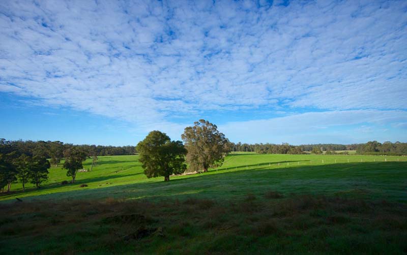 bibbulmun track