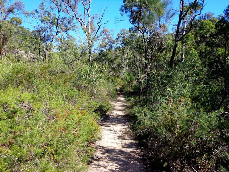 bibbulmun track