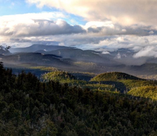 Hartz National Park