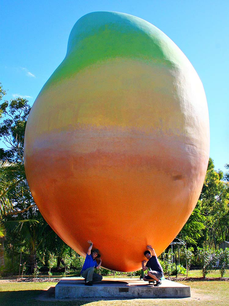 big mango