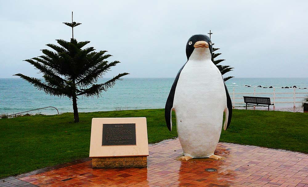 big penguin