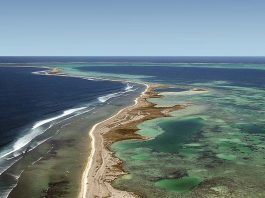 abrolhos islands