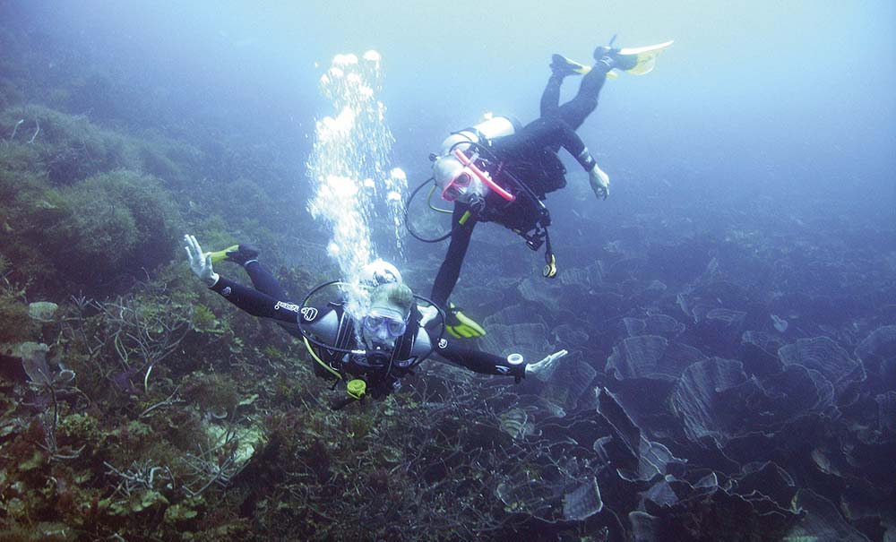 abrolhos islands