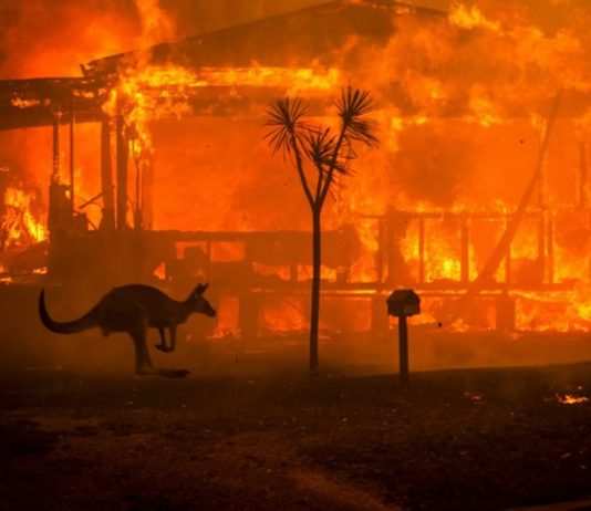 Incendie en Australie