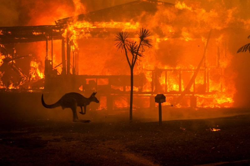 Incendies En Australie Histoire D Une Catastrophe Sans Precedent