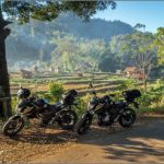 Illustration du profil de MaevaV