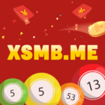 Illustration du profil de xosomientrung