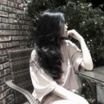 Illustration du profil de havik