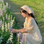 Illustration du profil de norama